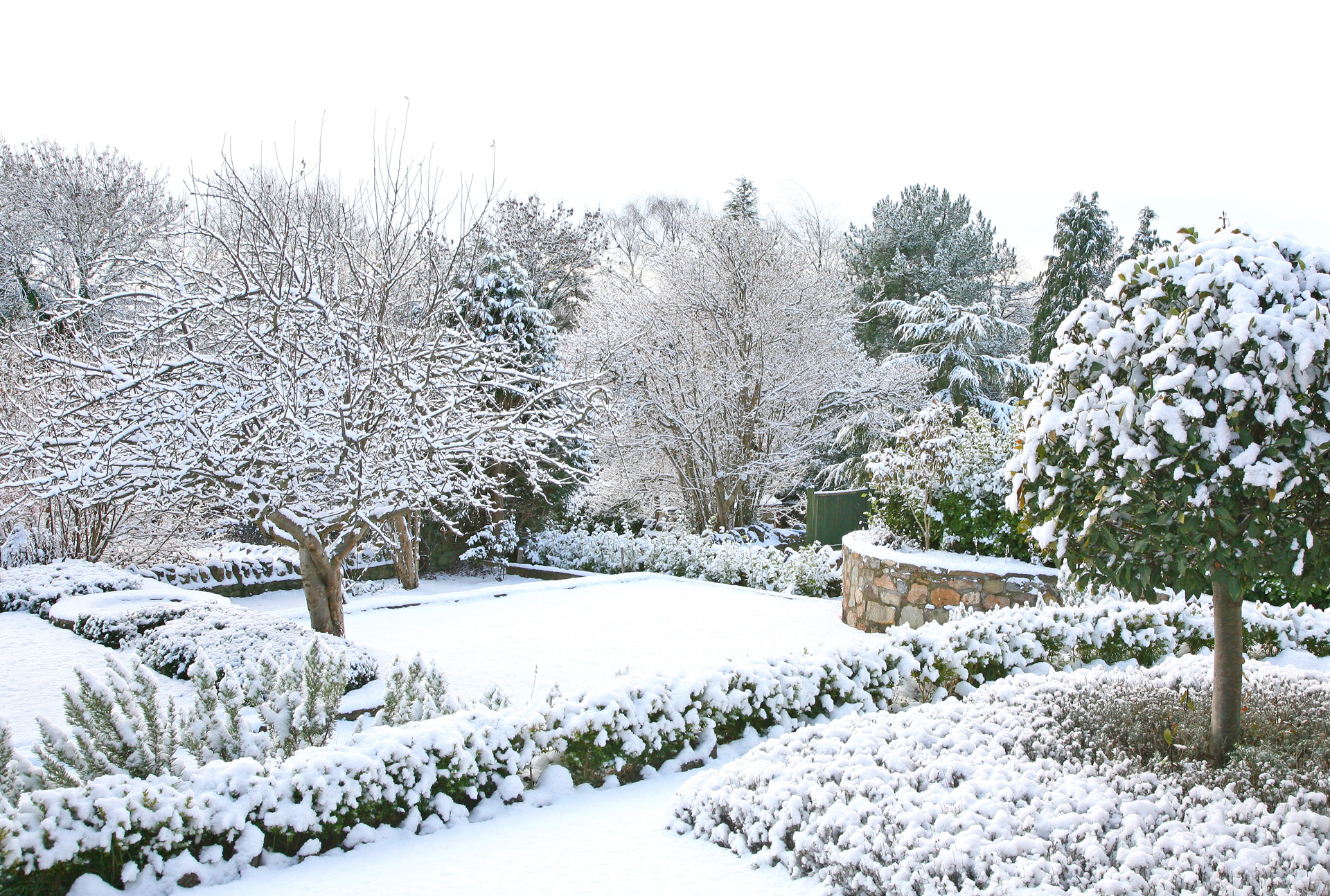 Um jardim coberto de neve no inverno – guia de jardinagem de inverno