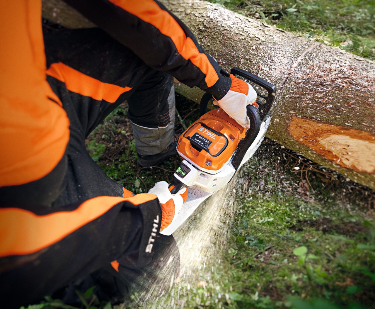 Imagem ampliada de alguém a cortar um tronco de árvore com a motosserra a bateria STIHL MSA 300