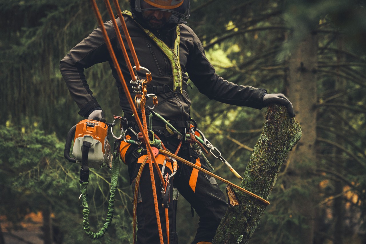 Homem numa plataforma de elevação a cortar ramos com a motosserra a bateria STIHL MSA 190 T