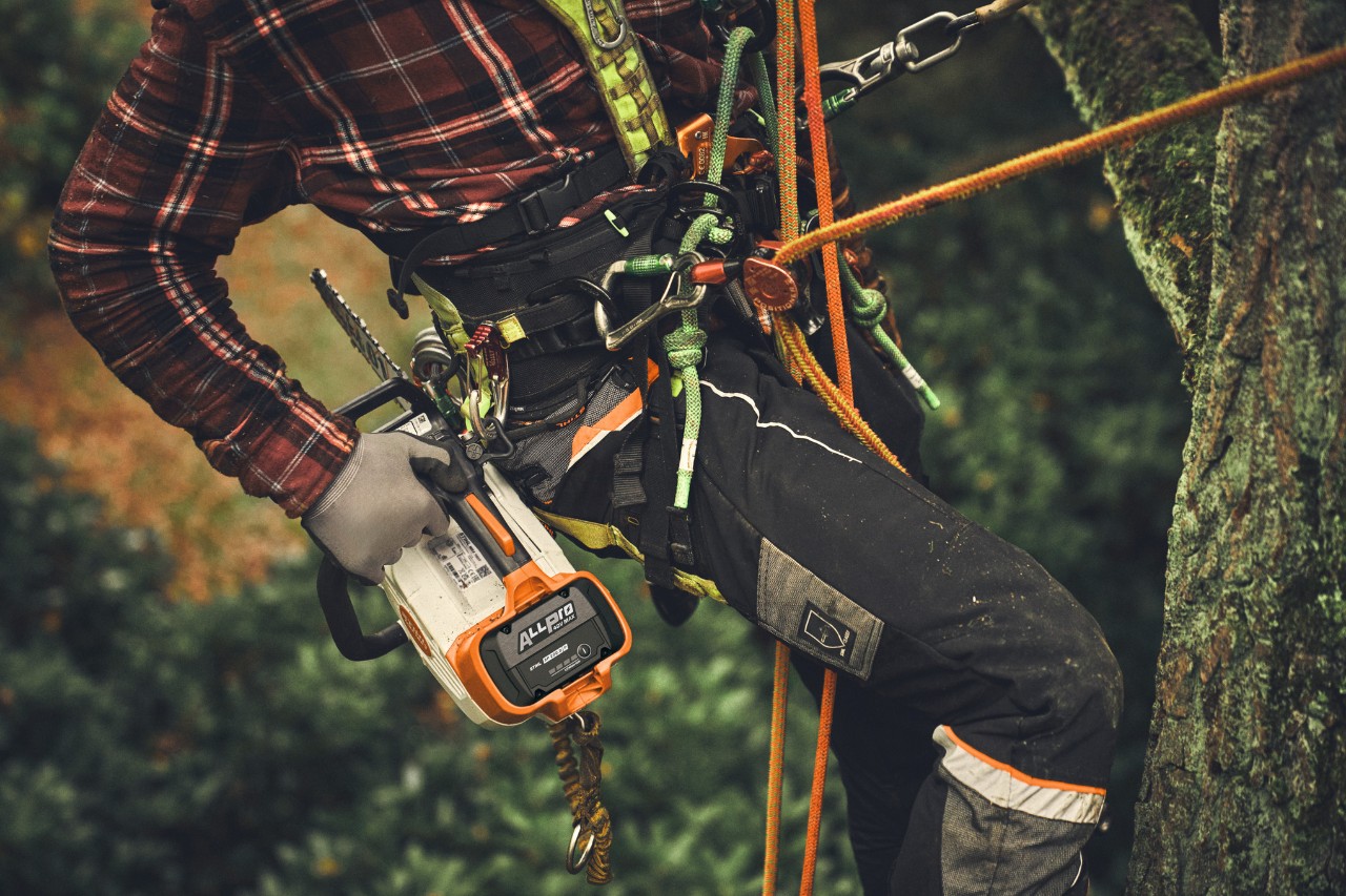 Grande plano de um homem a subir a uma árvore com uma motosserra a bateria STIHL MSA 190 T equipada com uma bateria ALLPRO