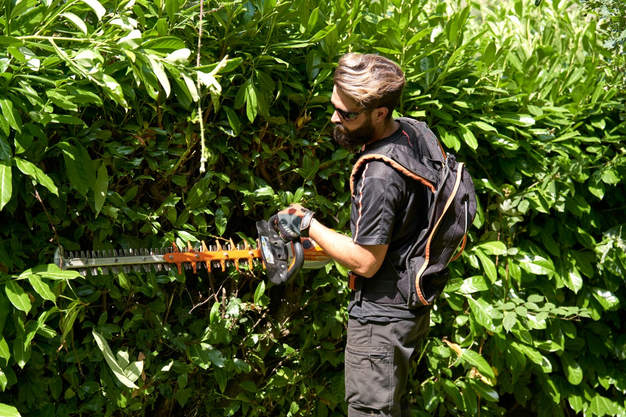 Um profissional com equipamento de proteção a cortar uma sebe com uma podadora de sebes a bateria STIHL