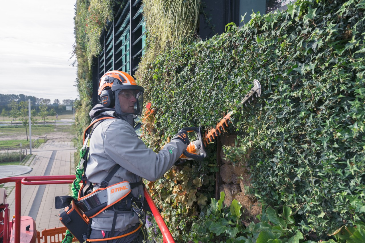 Homem numa plataforma elevatória corta a vegetação da fachada