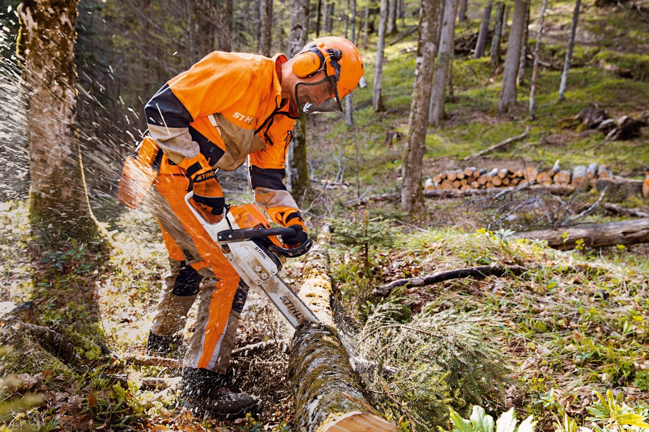 Um trabalhador florestal com vestuário de proteção STIHL, incluindo calças Dynamic Vent (categoria de proteção anticorte 1) a serrar uma árvore na floresta com uma motosserra STIHL