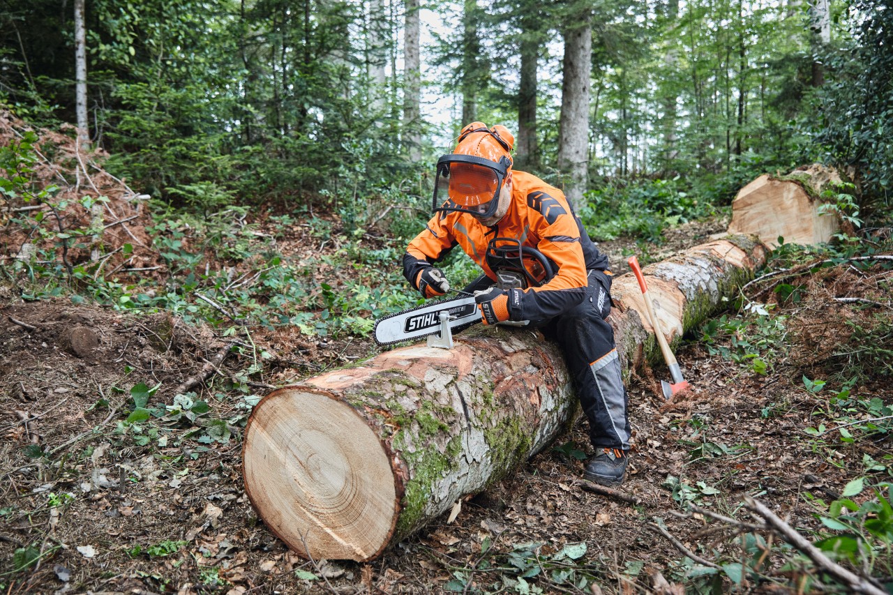 Um homem com equipamento de proteção a cortar uma árvore já abatida com uma motosserra STIHL com guia maciça