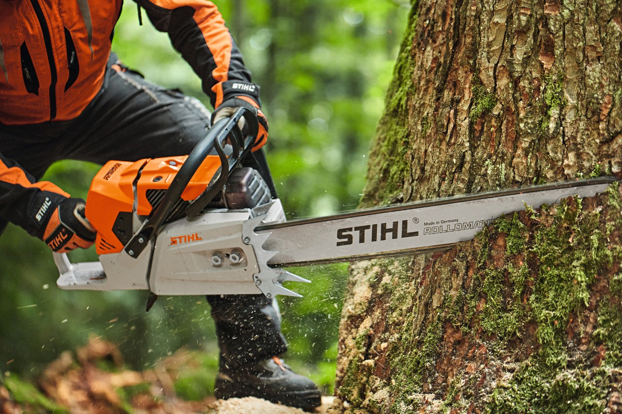 Uma pessoa a serrar uma árvore com uma motosserra a gasolina STIHL MS 881 com guia com cabeça