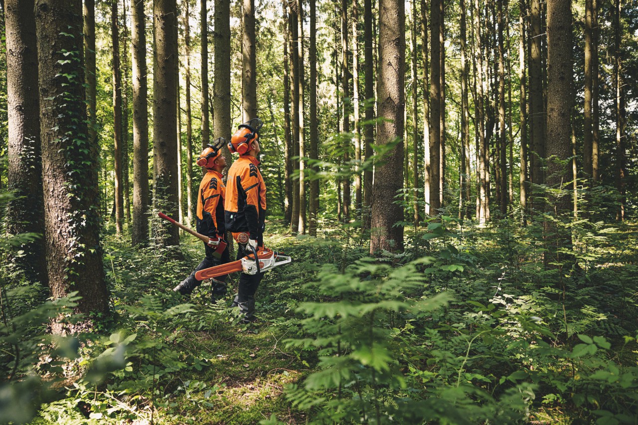 Dois homens com equipamento de proteção a caminhar pela floresta com um machado florestal e uma motosserra a bateria STIHL, olhando para cima