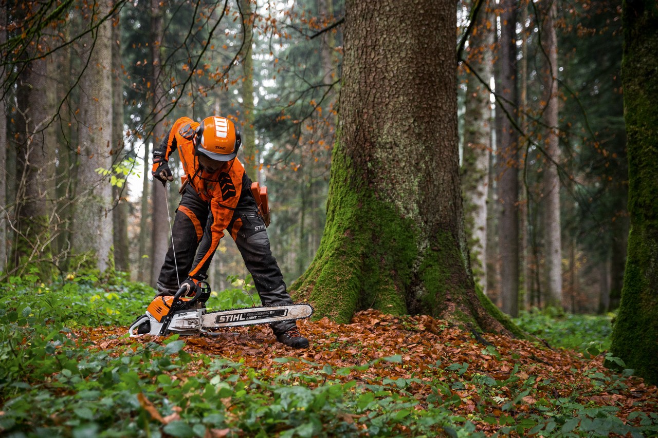 Homem com proteção inicia uma motosserra a gasolina STIHL MS 500i com injeção de combustível numa floresta caducifólia