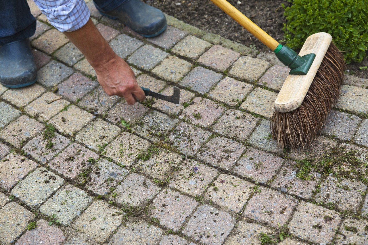 Use um raspador de juntas para fazer a limpeza das pedras do pavimento e remover musgo e ervas daninhas das juntas