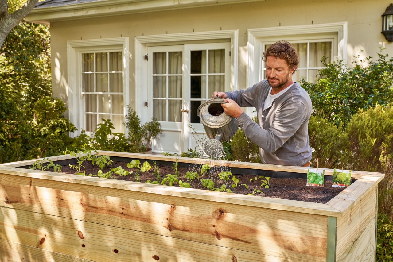 Um homem rega as plantas num canteiro elevado de bricolage