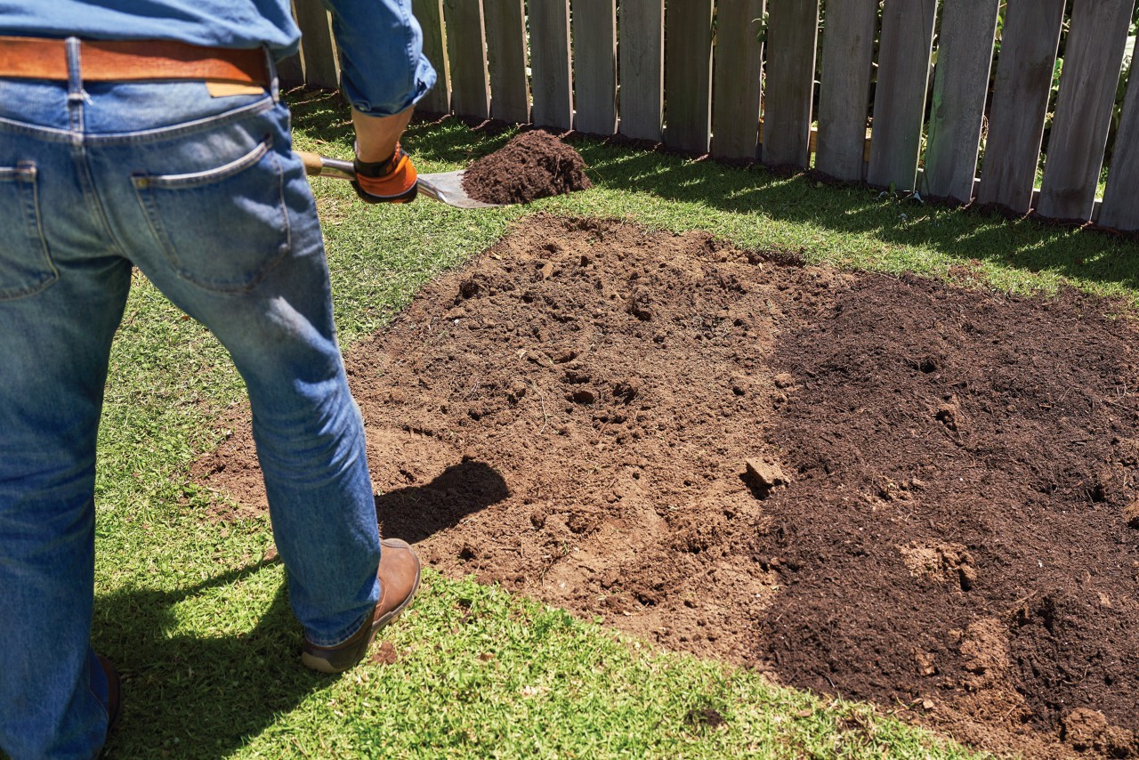 Plantar uma horta: composto a ser colocado com uma pá num canteiro de terreno pelado