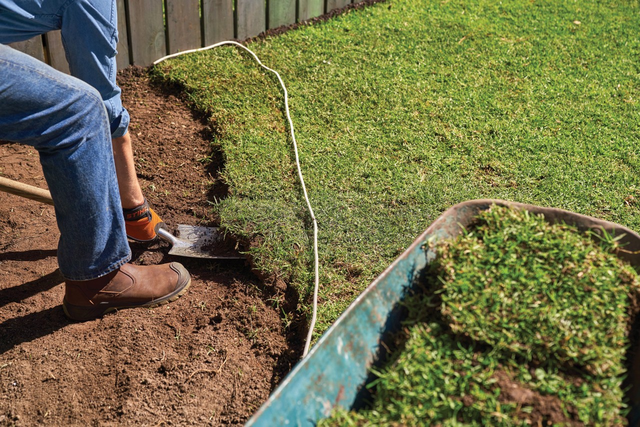 Como plantar perenes: uma pessoa cava um tapete de relva no jardim com uma pá de plantio para plantar um canteiro