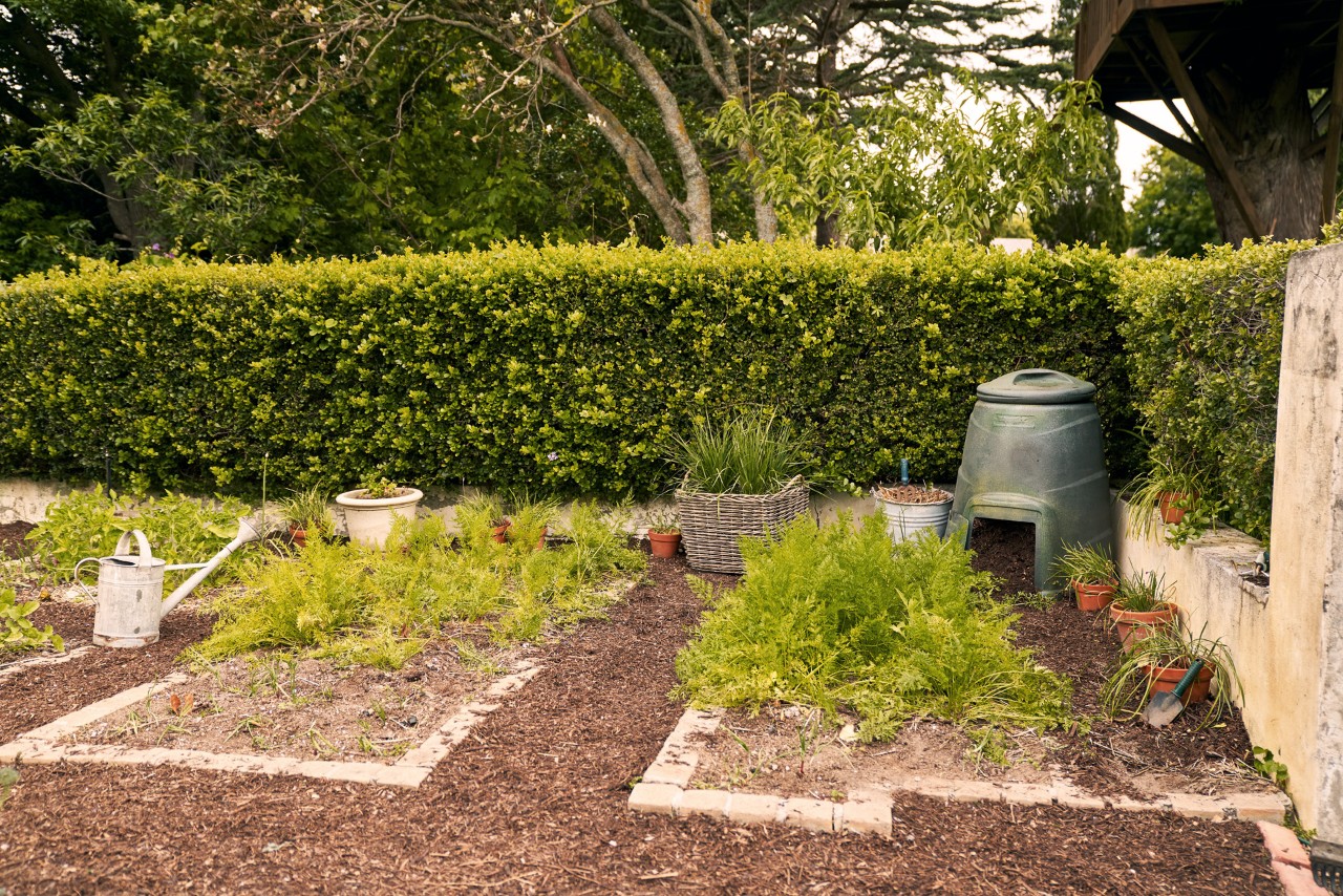 Canteiros de jardim arrumados à frente de uma sebe, com um recipiente de compostagem no canto 