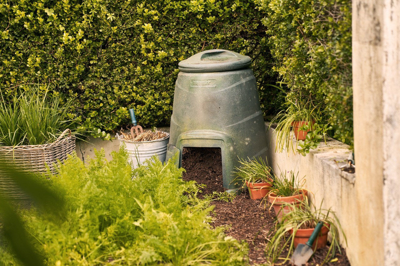 Um recipiente de compostagem de plástico no canto de uma mancha verde entre vasos e plantas
