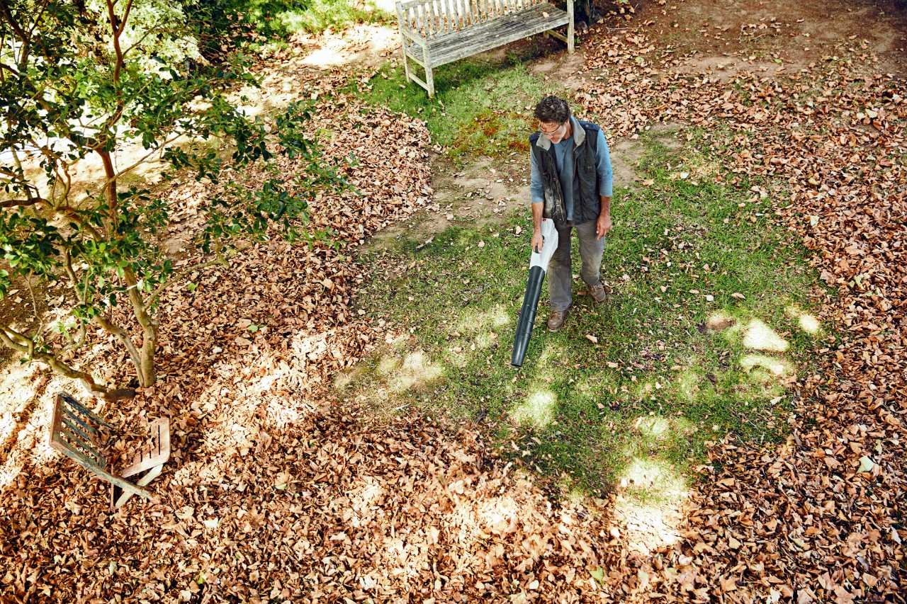 Vista superior de um homem a usar um soprador de mão a bateria STIHL BGA 56 para limpar folhas num relvado grande