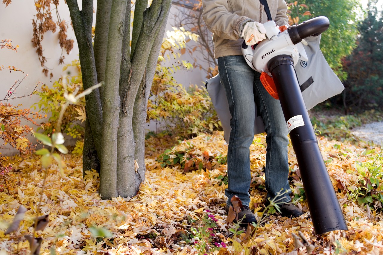 Um aspirador/picador STIHL SH 56 a ser usado para limpar folhas junto de uma árvore