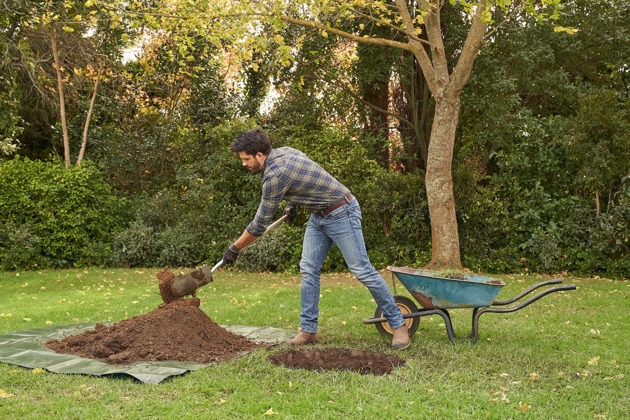 Um homem com luvas de proteção STIHL escava uma perfuração com a pá de plantio antes de plantar uma árvore