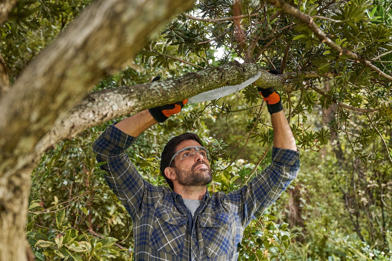 Um homem de luvas de proteção e óculos de proteção STIHL serra um ramo a partir de baixo até meio