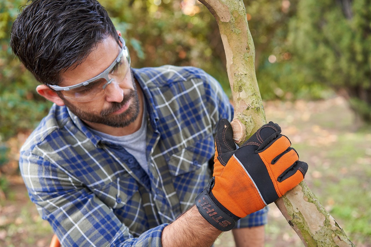 Um homem de luvas e óculos de proteção STIHL examina um ramo no espaço verde