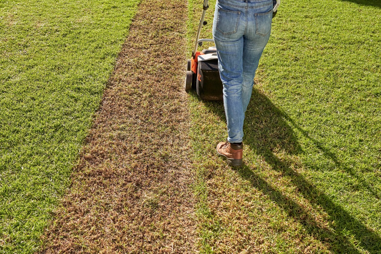 Uma mulher ventila o relvado com o arejador de relva a bateria STIHL RLA 240