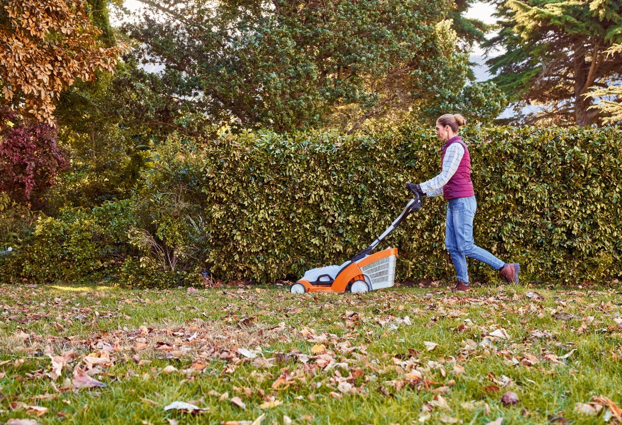 Mulher aplica os cuidados com a relva no outono ao cortar um relvado coberto de folhas com o corta-relva STIHL RMA 339 C