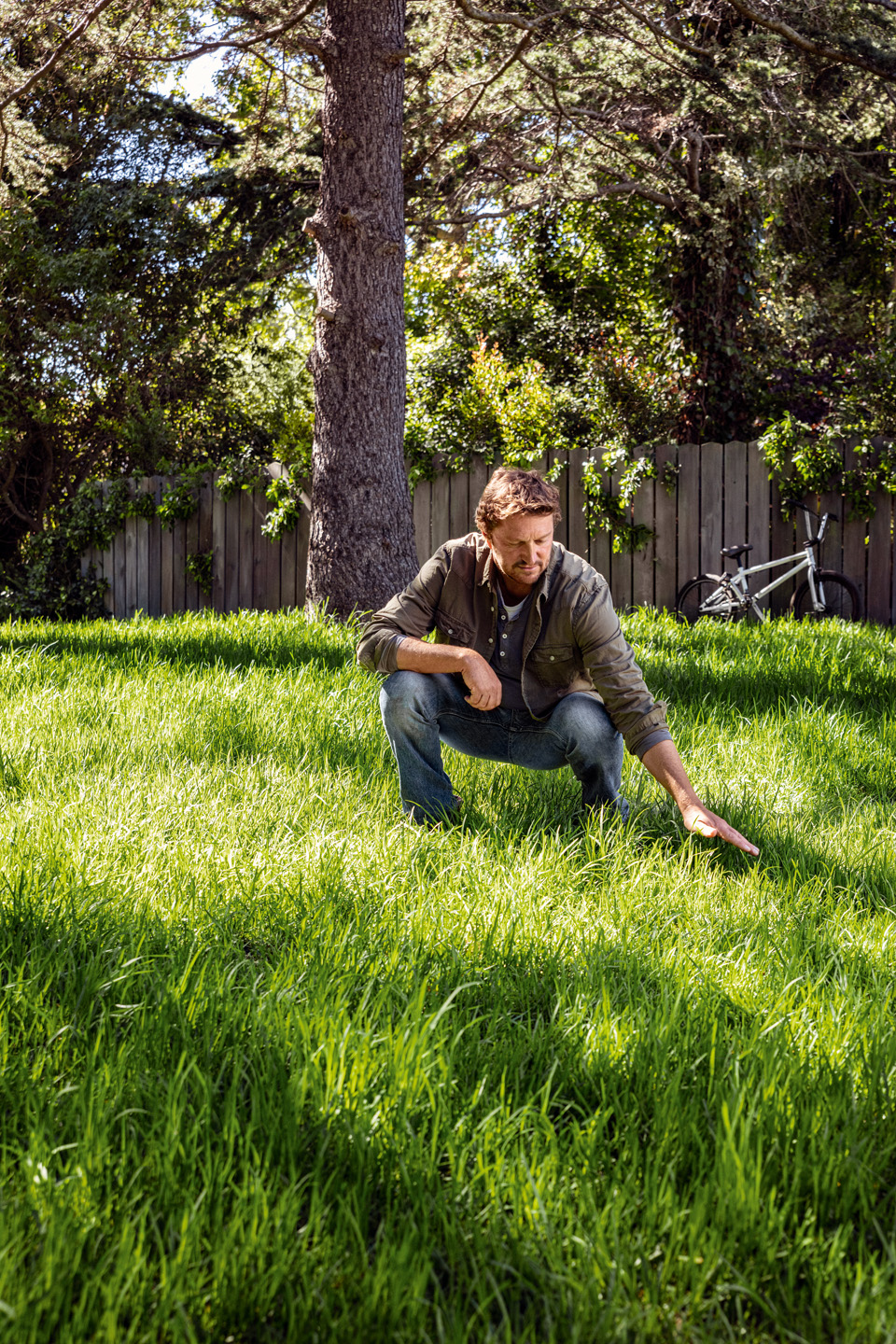 Um homem inspeciona o seu jardim, depois de fertilizar a relva, com uma árvore e uma bicicleta em segundo plano.