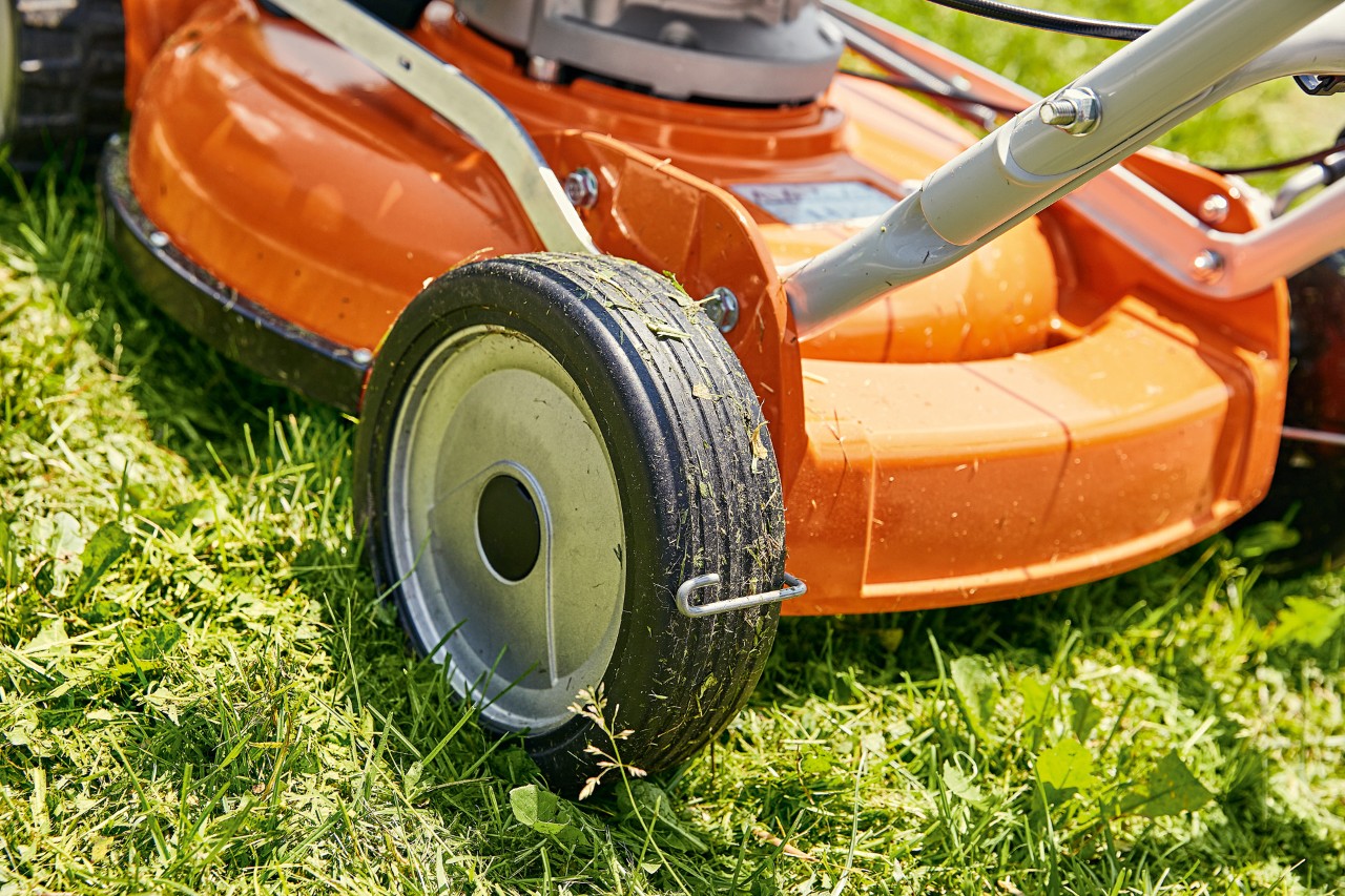 Um corta-relvas de mulching a gasolina STIHL RM 2 na relva