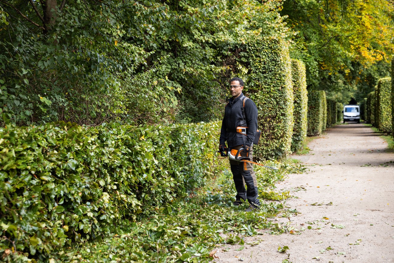 Homem com equipamento de proteção STIHL e um corta-sebes a bateria STIHL HSA 26 de pé sobre aparas de sebes em um parque