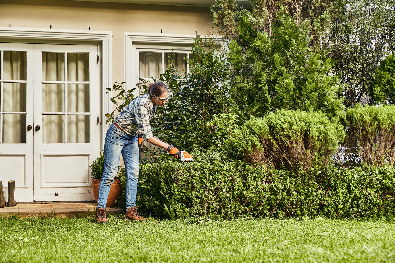 Uma mulher corta um tipo de sebe plano e baixo com a podadora de sebes a bateria STIHL HSA 26 junto à porta de uma casa 