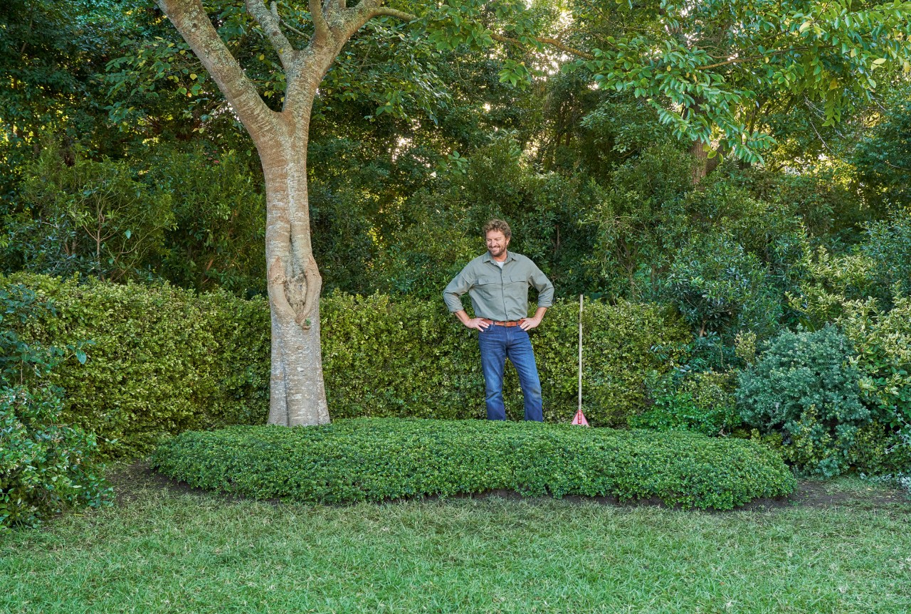 Homem de camisa verde olha satisfeito para o coberto vegetal verde plantado por baixo de uma árvore