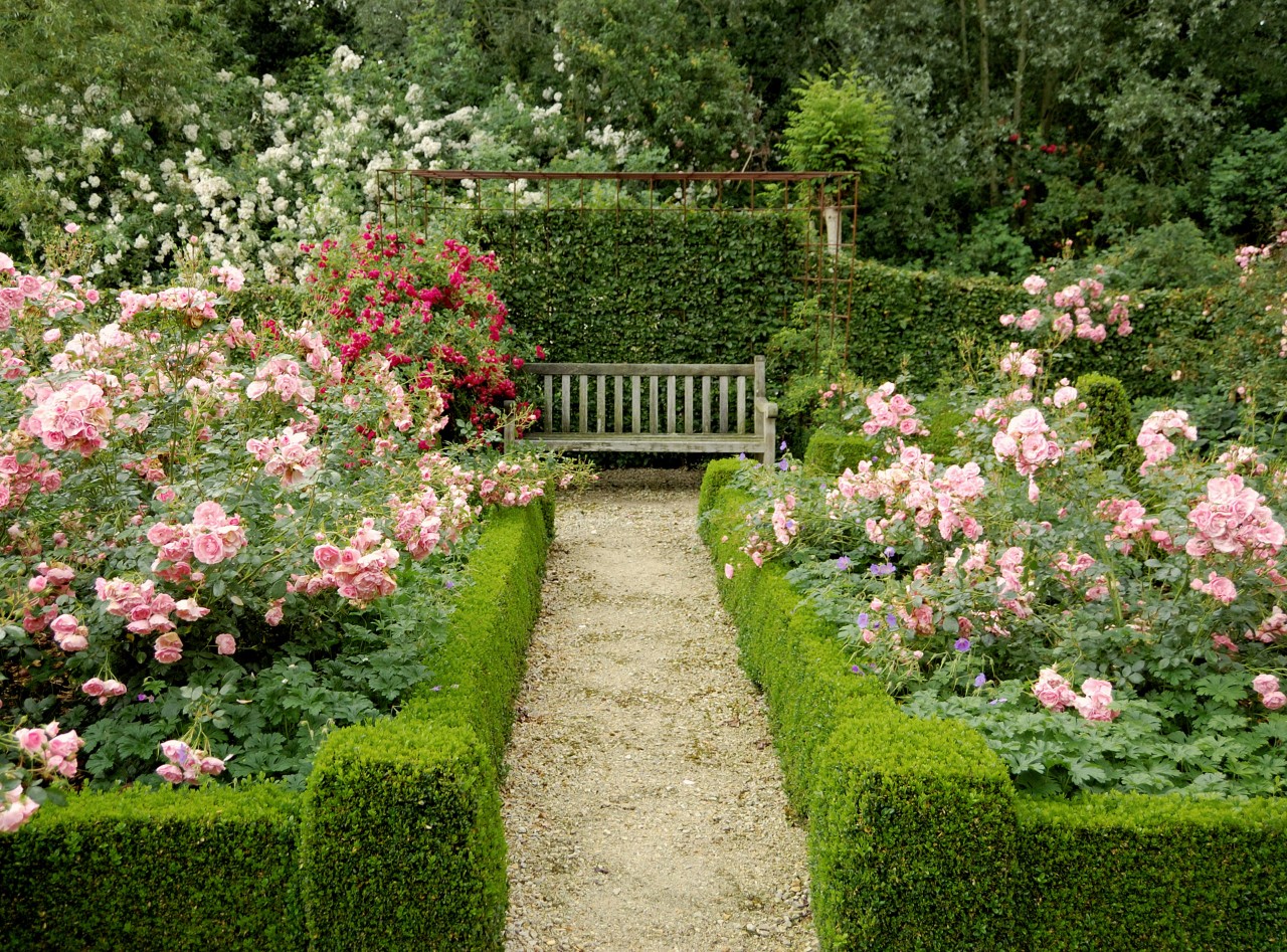 Jardins pequenos românticos com canteiros de rosas, buxos aparados rodeados de uma sebe de carpa-europeia, banco de jardim em madeira. 