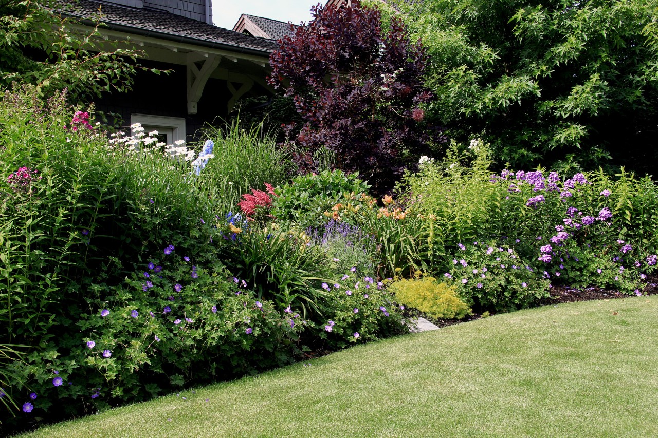 Conceção de jardim pequeno com uma área relvada à frente, cheia de plantas perenes, com vista para o jardim adjacente.
