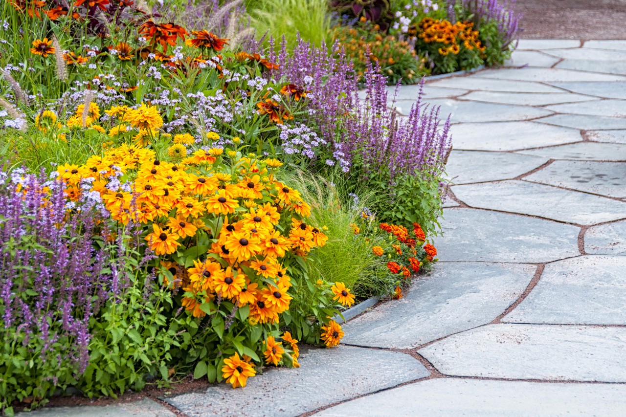 Um canteiro de plantas perenes em flor num caminho pavimentado para a criação de um jardim da frente