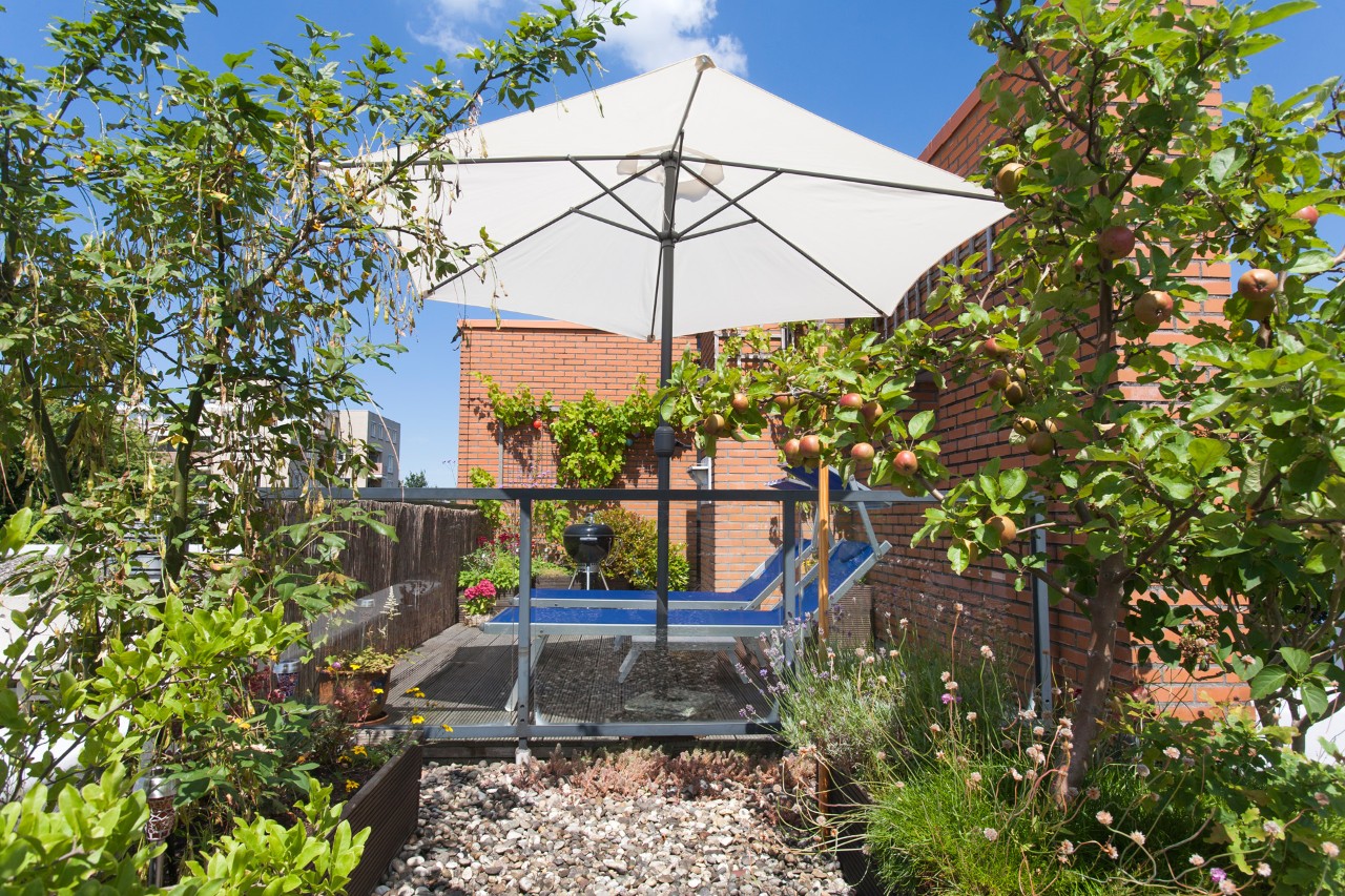 Design de terraços: plantas, macieira, guarda-sol e espreguiçadeiras à frente de uma parede de tijolo vermelho