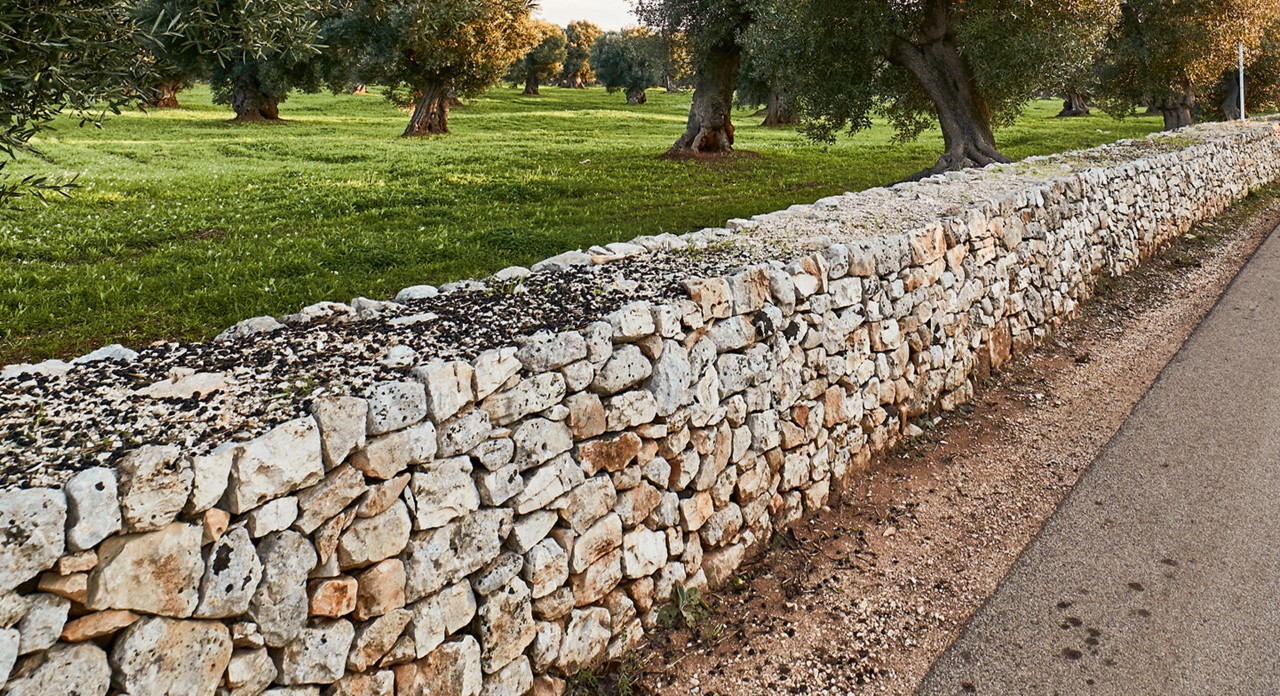 Um muro de pedra seco amigo das abelhas separa uma estrada de um parque com árvores.