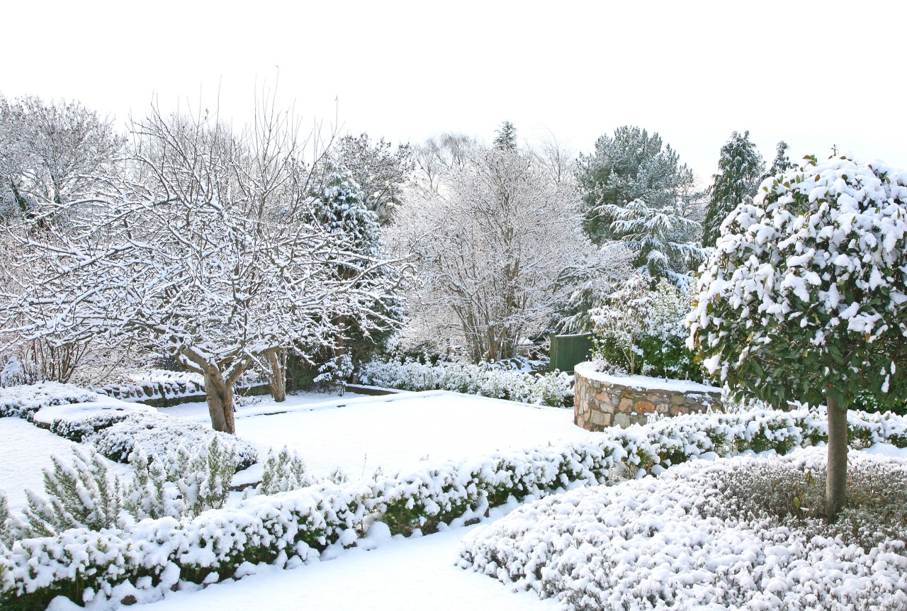 Um jardim coberto de neve no inverno – guia de jardinagem de inverno