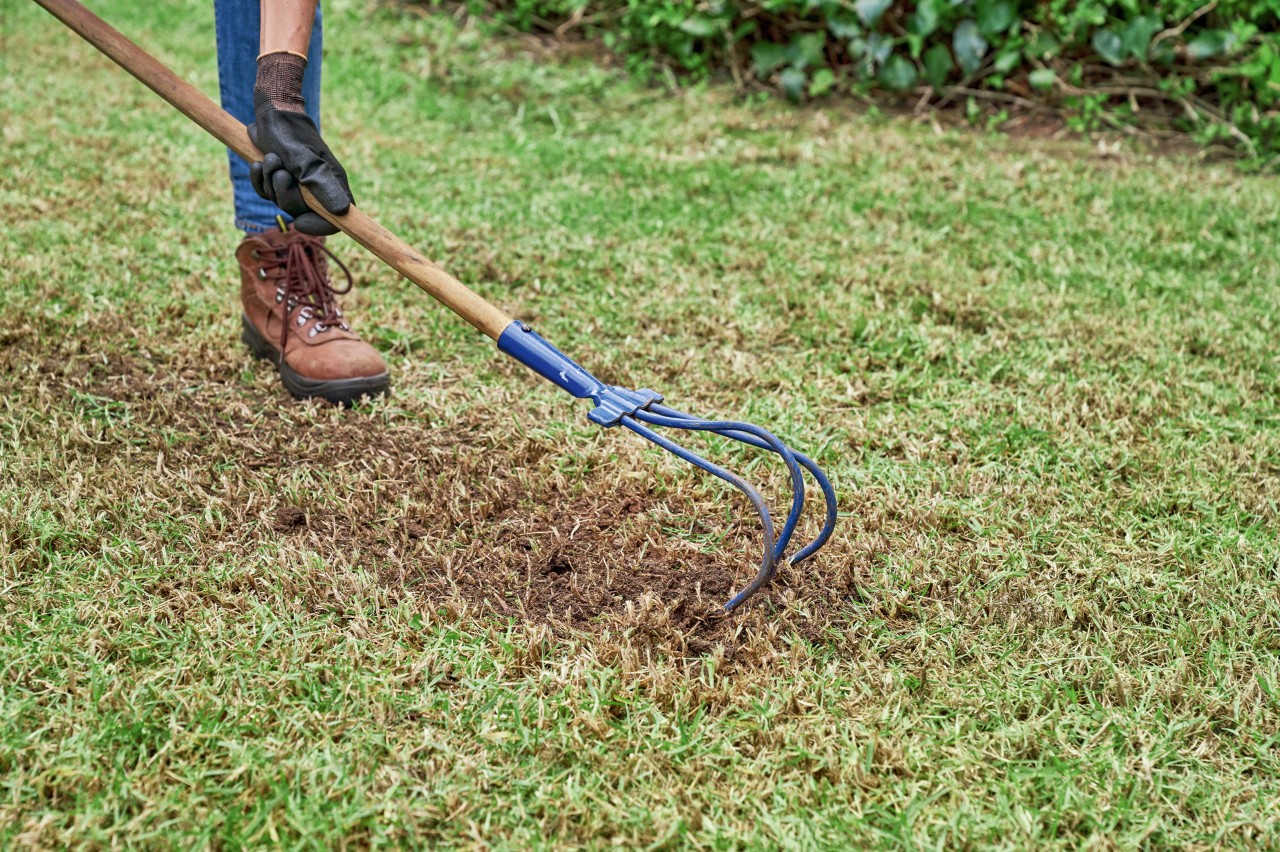 Uma pessoa usa um cultivador para tratar o solo com relvado