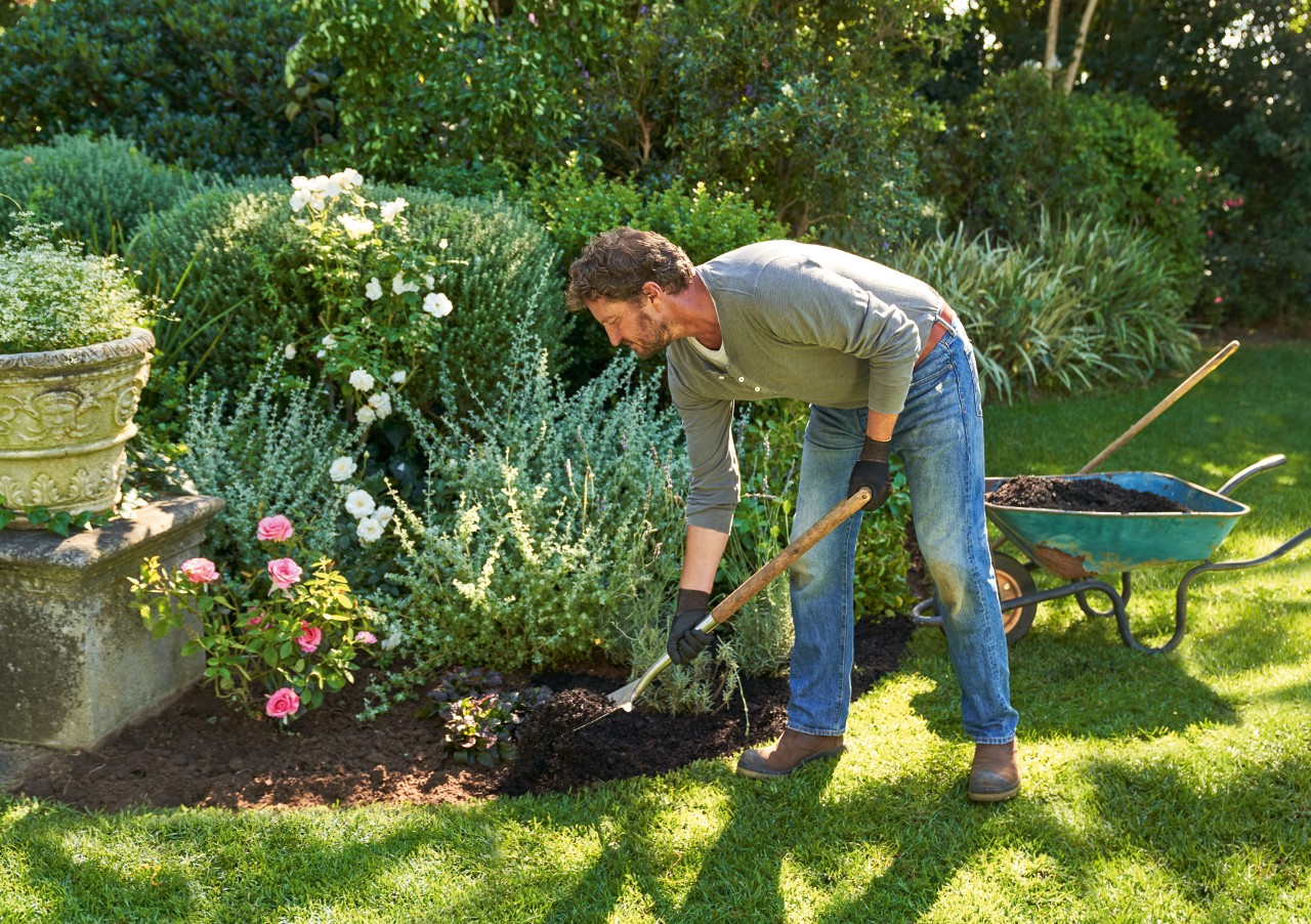Um homem com luvas de proteção STIHL calçadas cava com uma enxada de cabo comprido entre as plantas perenes no jardim