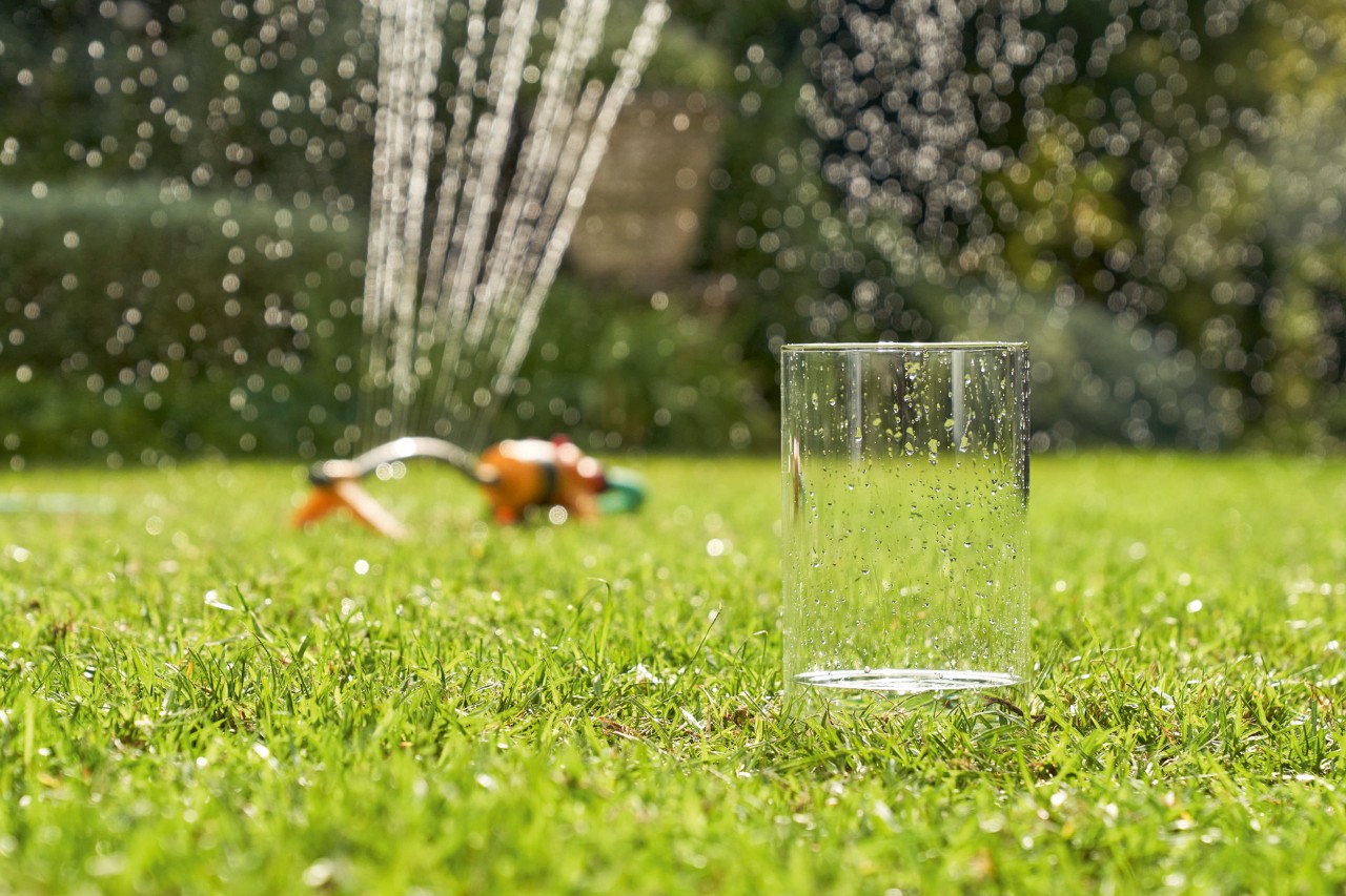 Água proveniente de um aspersor de relva ao fundo é recolhida para um copo
