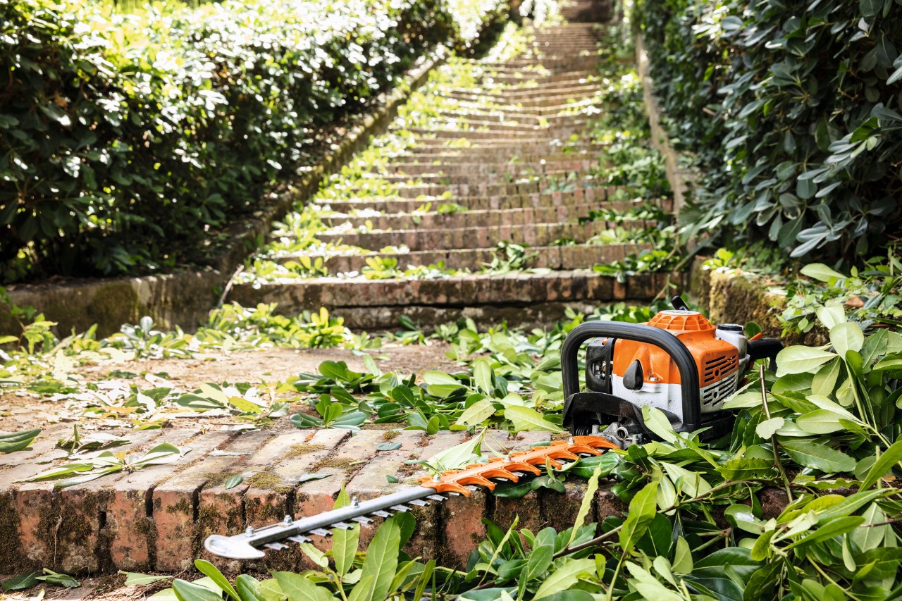 Uma podadora de sebes a gasolina STIHL HS&nbsp;82&nbsp;T entre folhas verdes numa escada antes da manutenção