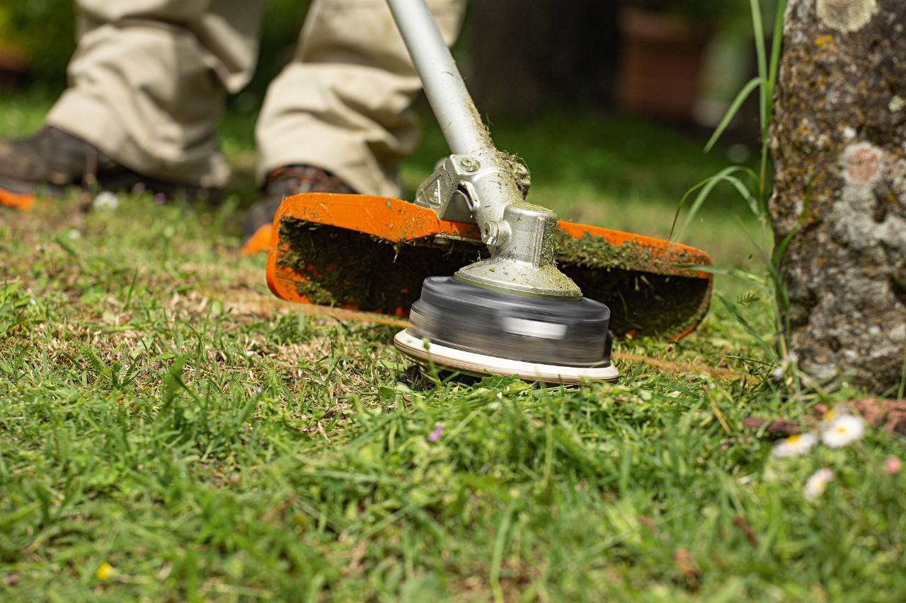 Imagem ampliada de como usar uma motorroçadora ou foice a motor STIHL junto à base de uma árvore