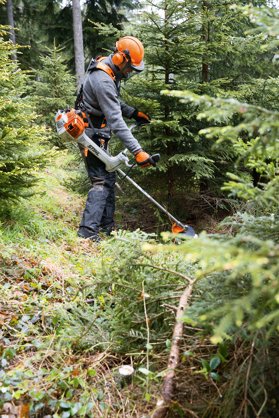 Trabalhador com equipamento de proteção e motorroçadora STIHL a usar um arnês florestal Advance X-treem num pinhal 