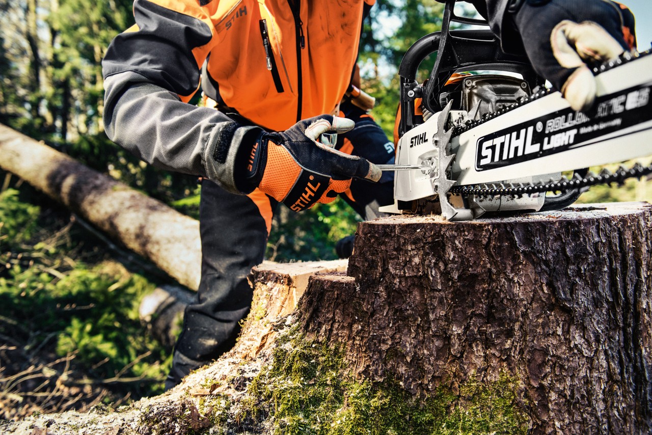Motosserra a gasolina STIHL MS 461 enquanto pessoa com vestuário de proteção desaparafusa tampa do carreto da corrente 