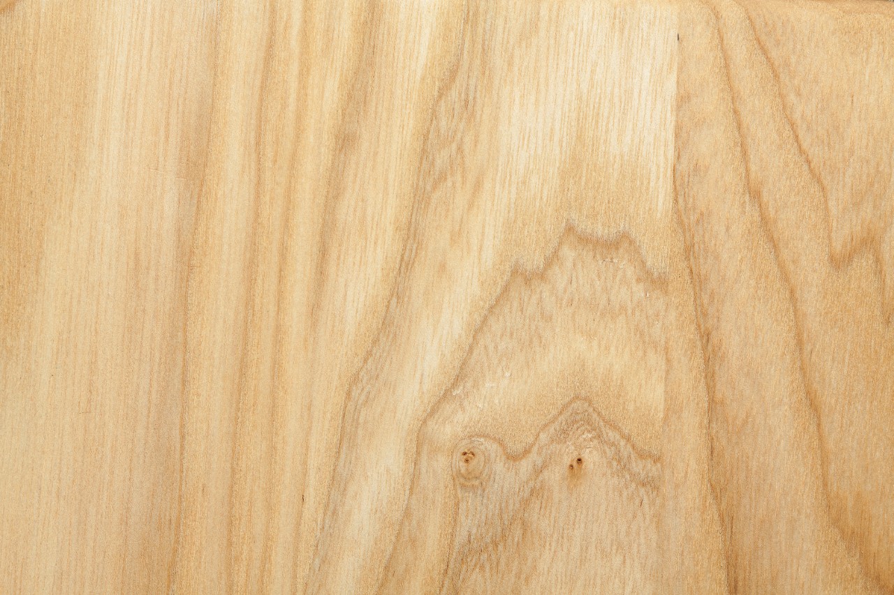 Imagem ampliada de faia com veio