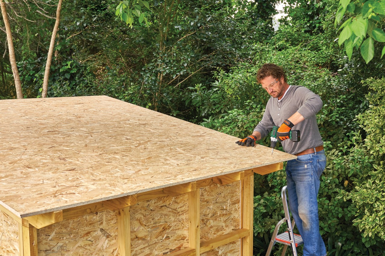Como construir um abrigo de jardim: um homem numa escada a aparafusar no lugar o painel de OSB do telhado num abrigo