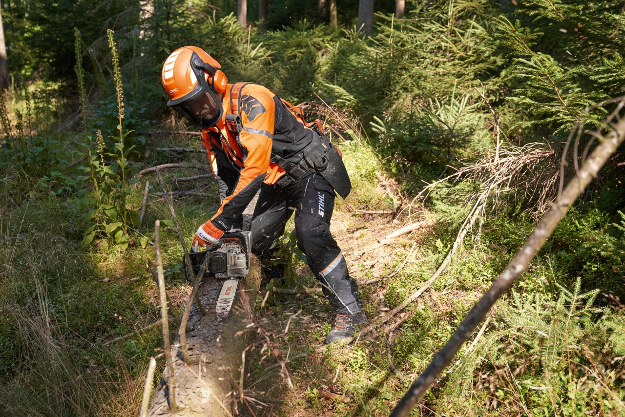 Uma pessoa com vestuário de proteção a usar uma motosserra STIHL com guia Light 04 para cortar ramos de um tronco