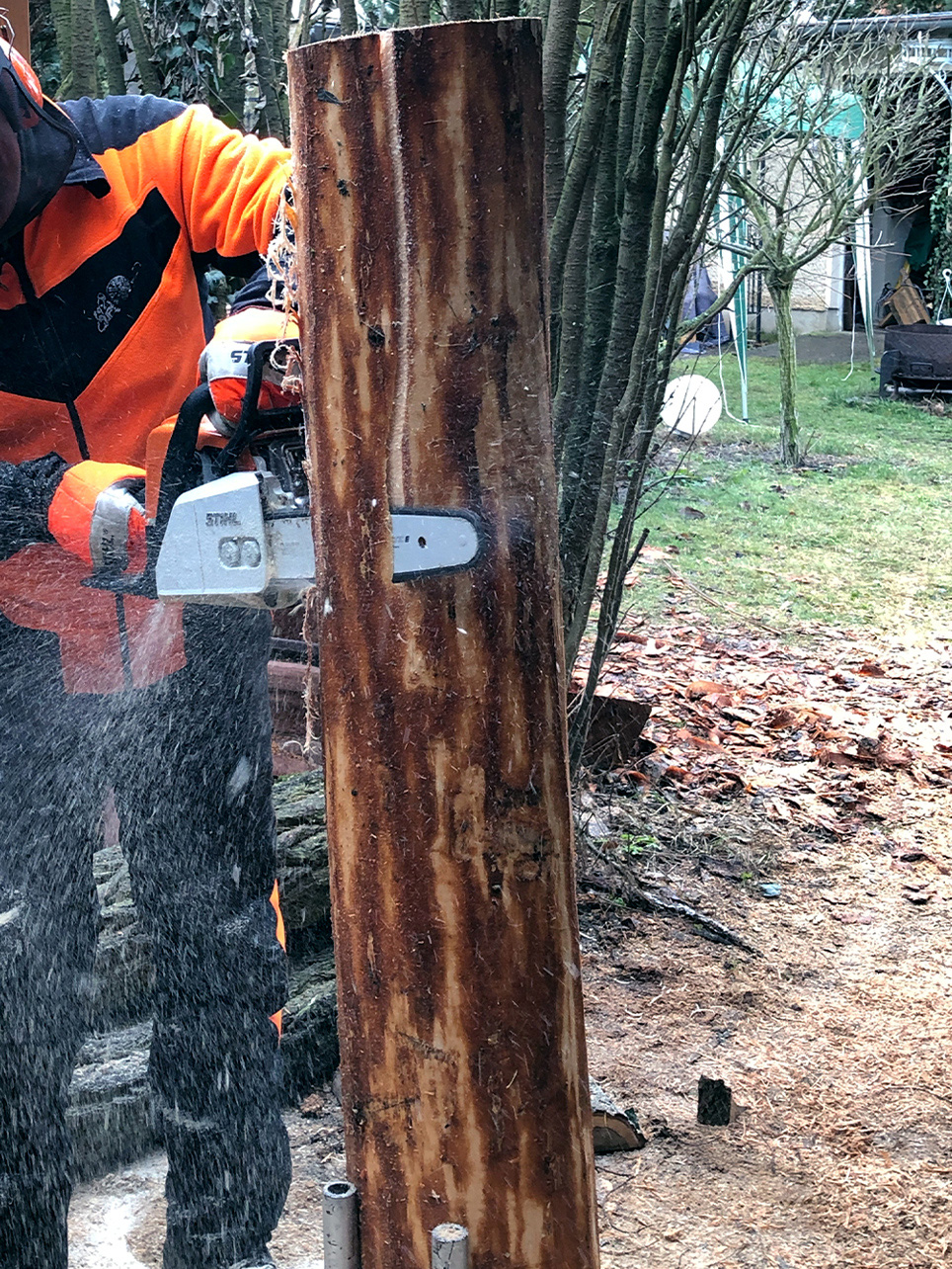 Mesa de bricolage para espaços verdes: uma motosserra STIHL MS 170 a ser usada para cortar uma rodela de um toro