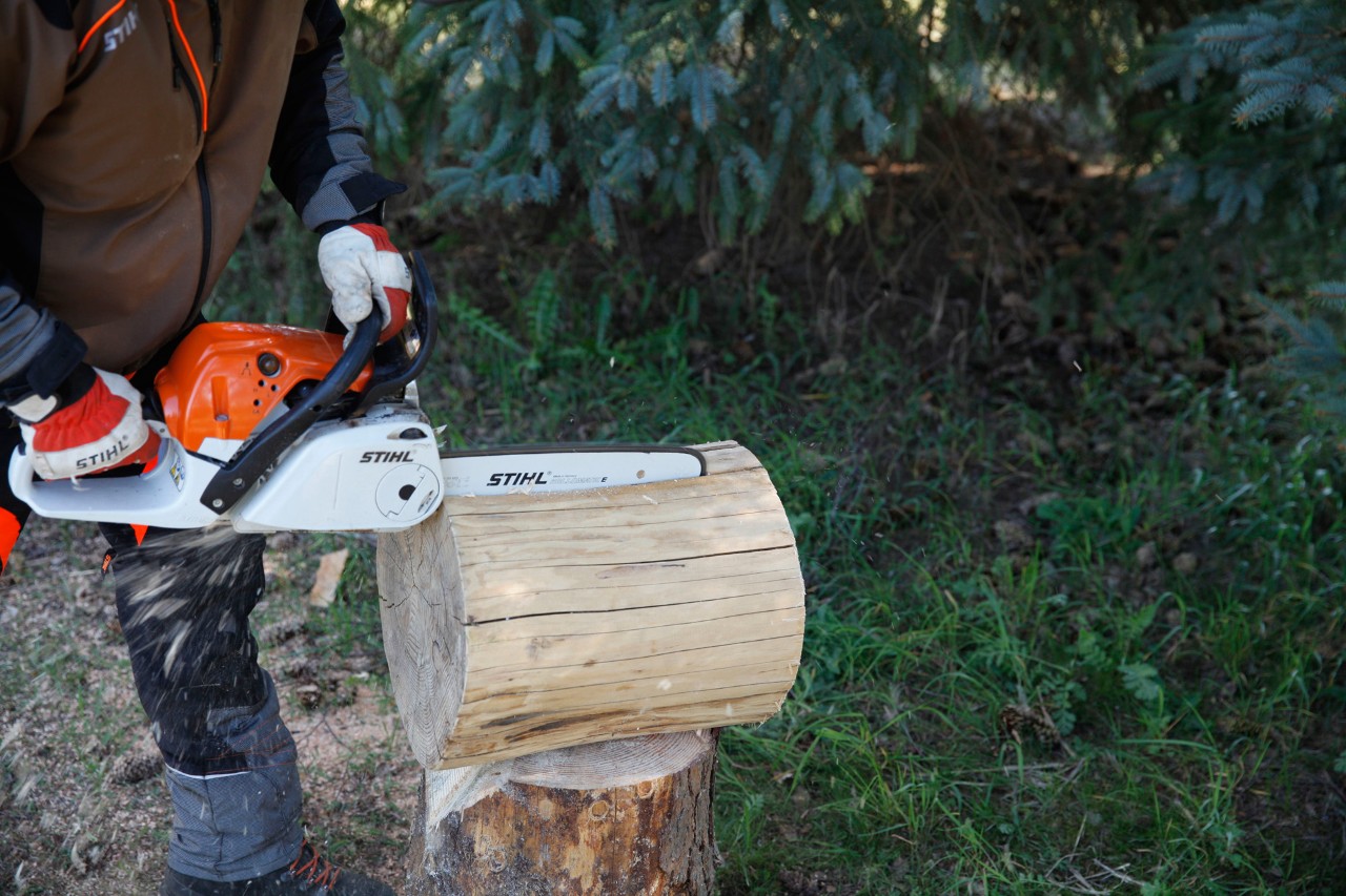 Banco de toro de bricolage: um tronco cortado na longitudinal com uma motosserra a gasolina STIHL MS 231 C