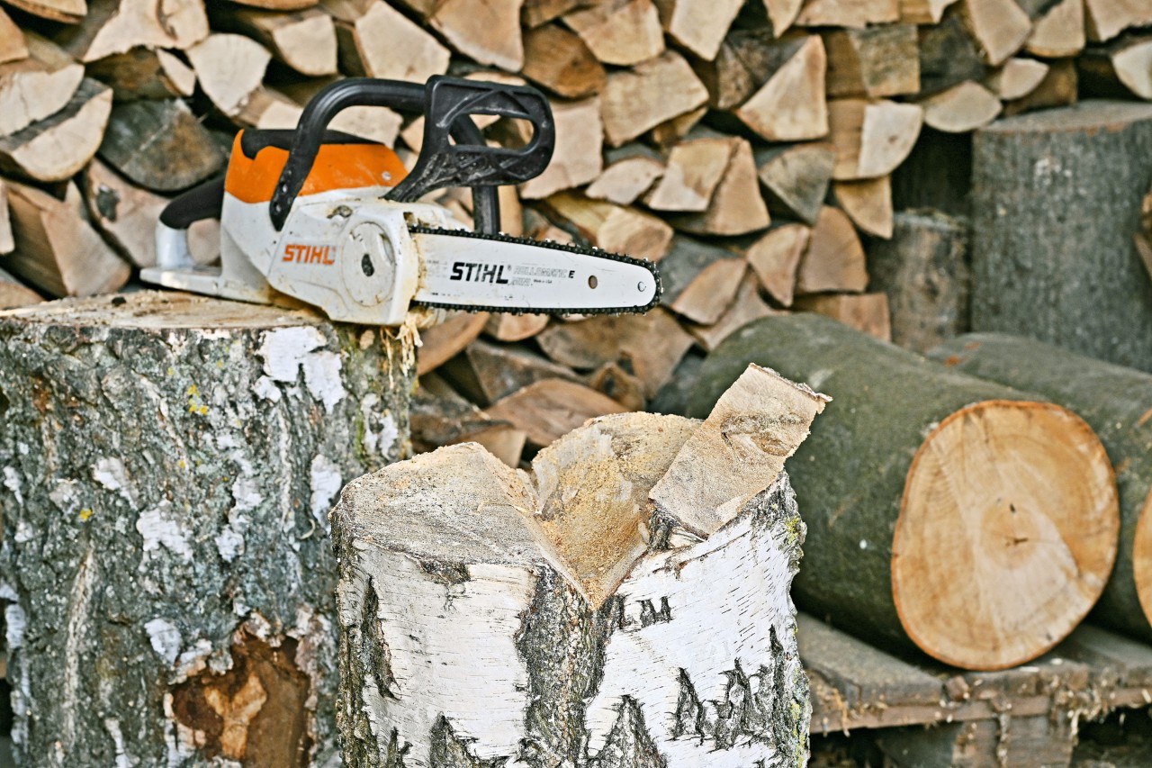 Um cepo com um entalhe e uma motosserra a bateria STIHL MSA 140 C num tronco de árvore por trás - fazer porta-revistas.