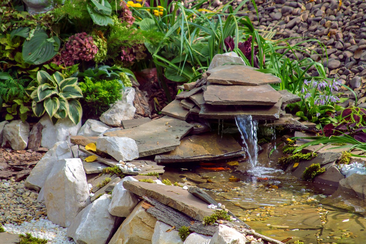 Fonte em pequeno lago num jardim amigo da vida selvagem, decorado com plantas e pedras - Jardim amigo dos animais 