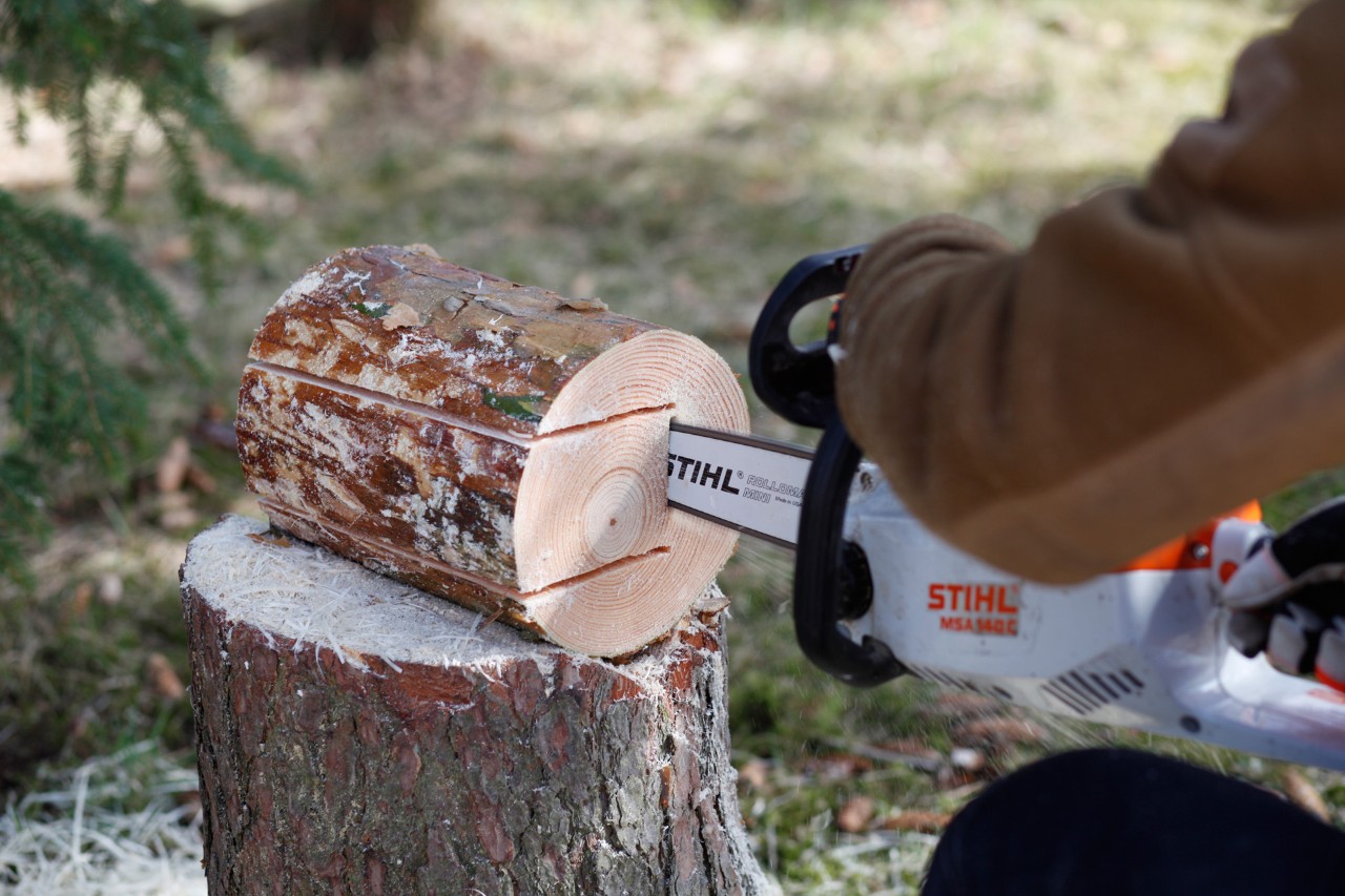 Como fazer um comedouro para aves: um corte em profundidade feito num toro com uma motosserra STIHL MS 140 C